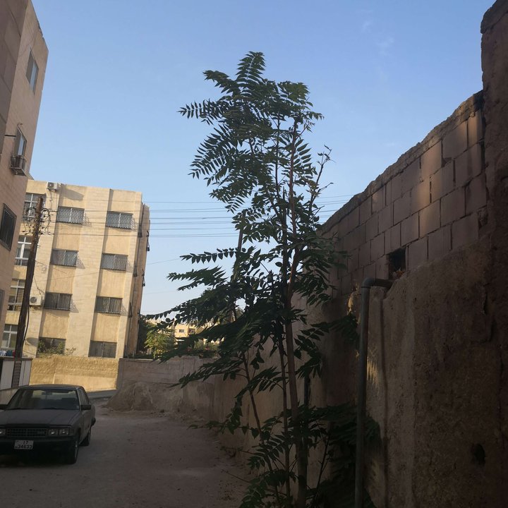 My Crowdsourcing Posts