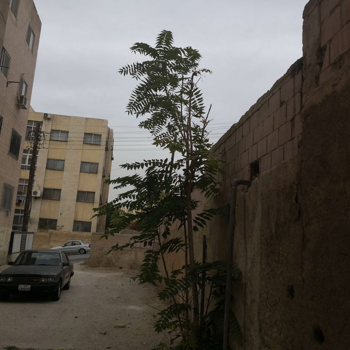 My Crowdsourcing Posts