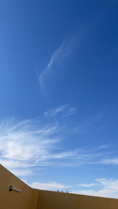 مشاركاتي في أنت الراصد