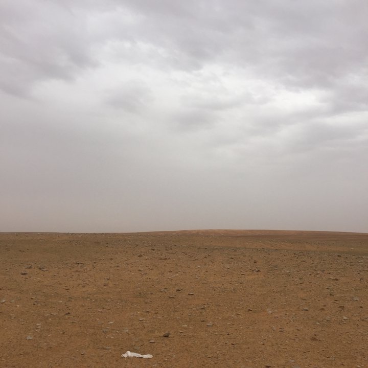 مشاركاتي في أنت الراصد