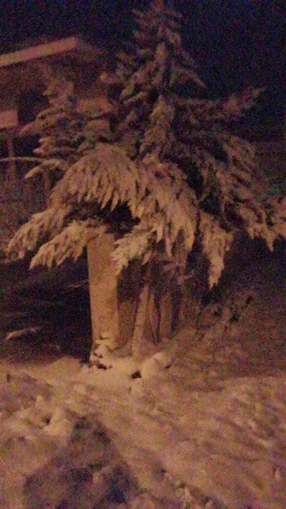 مشاركاتي في أنت الراصد