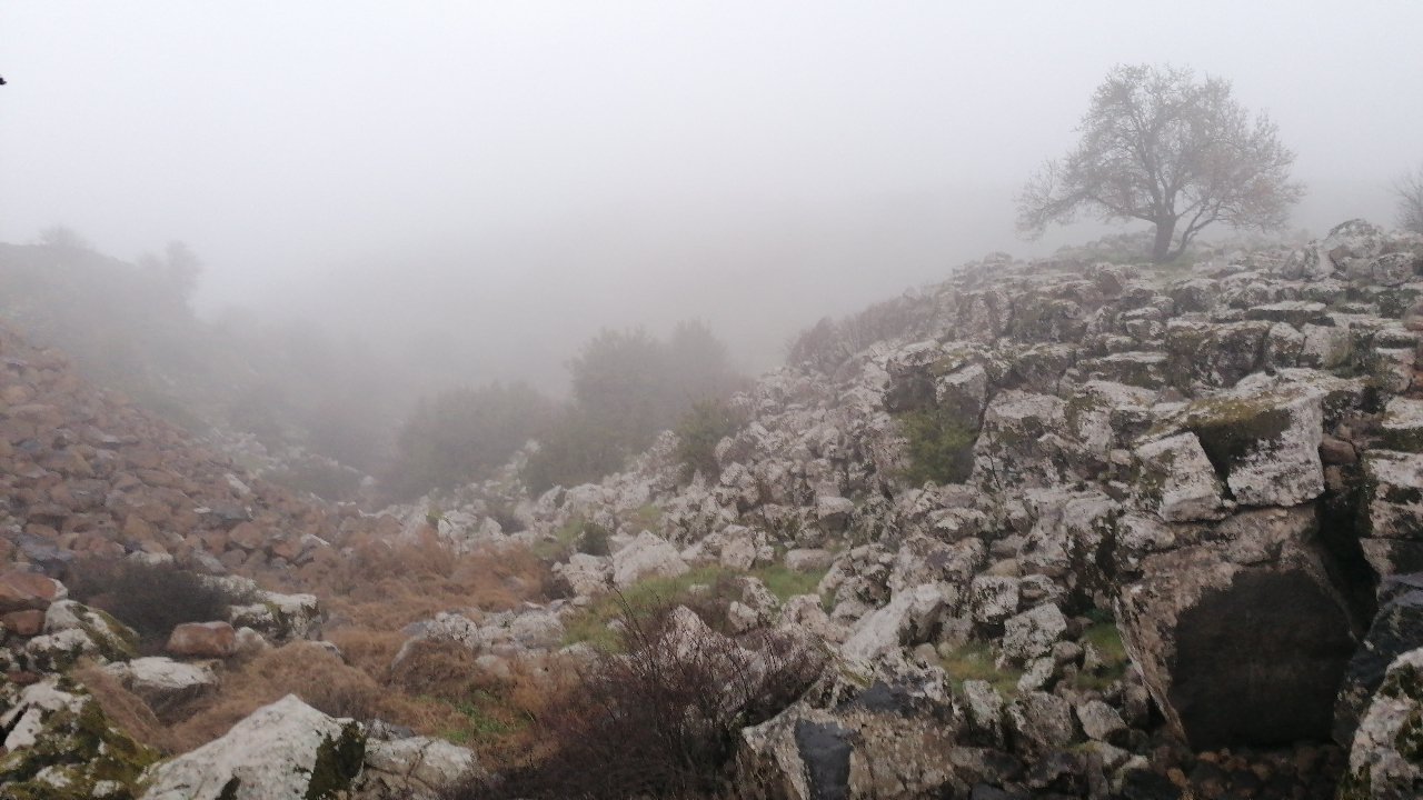 مشاركاتي في أنت الراصد