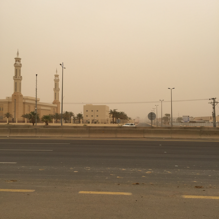 مشاركاتي في أنت الراصد