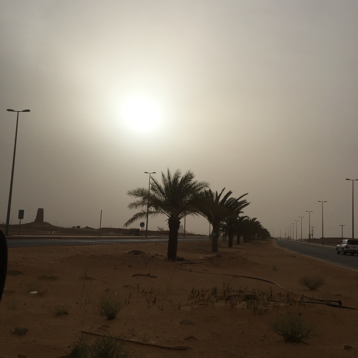 مشاركاتي في أنت الراصد