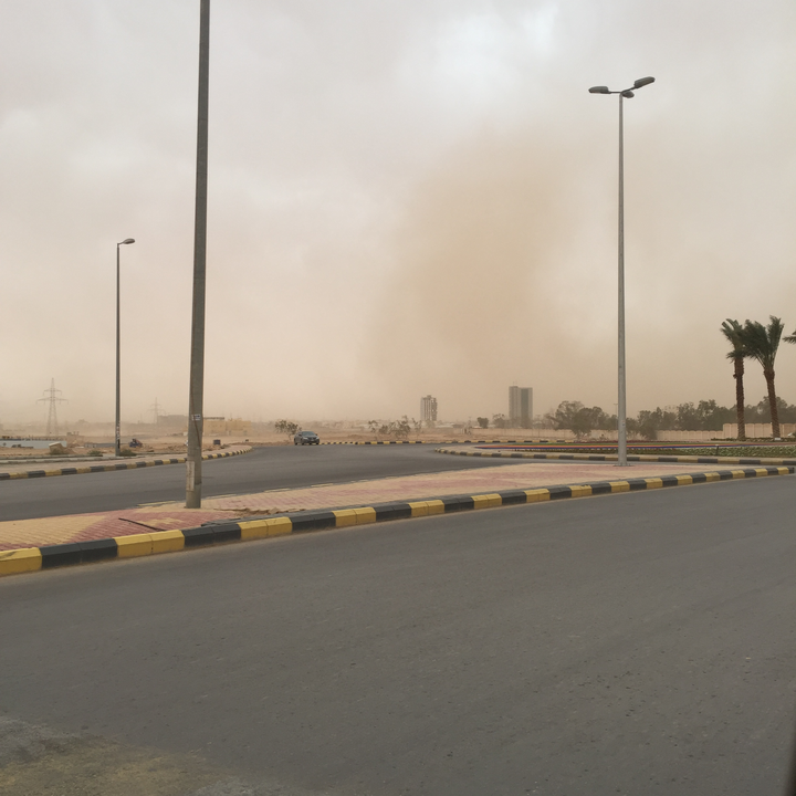 مشاركاتي في أنت الراصد