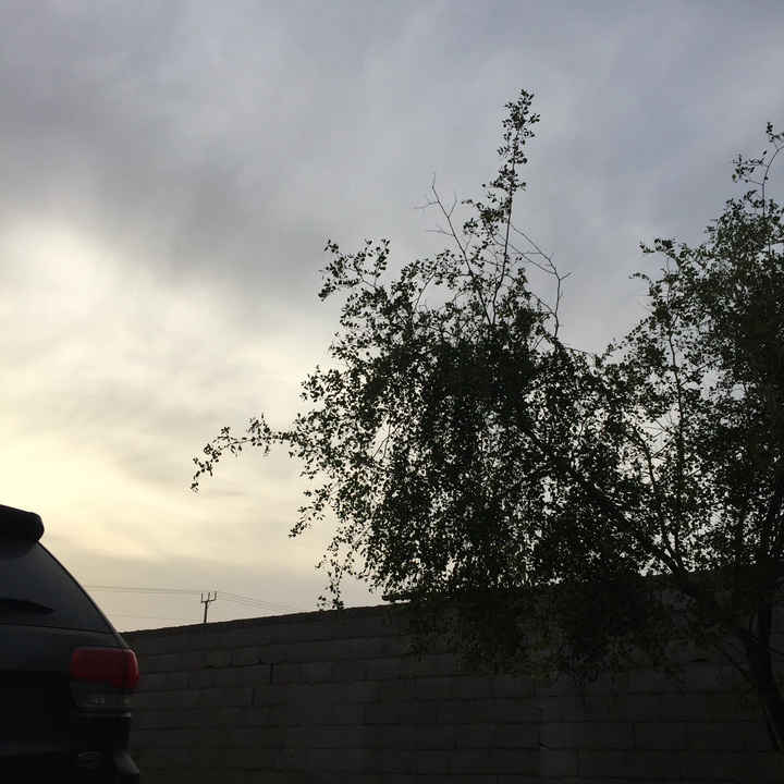 مشاركاتي في أنت الراصد