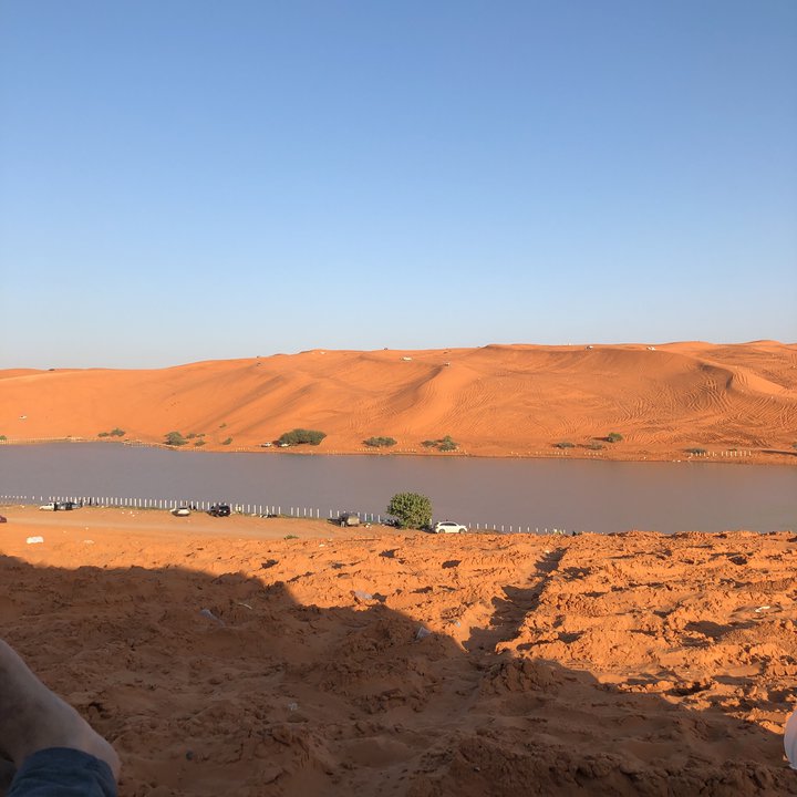 مشاركاتي في أنت الراصد