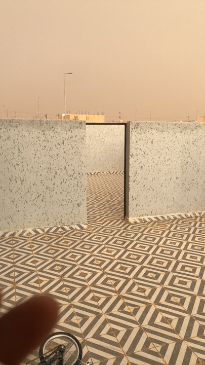 مشاركاتي في أنت الراصد