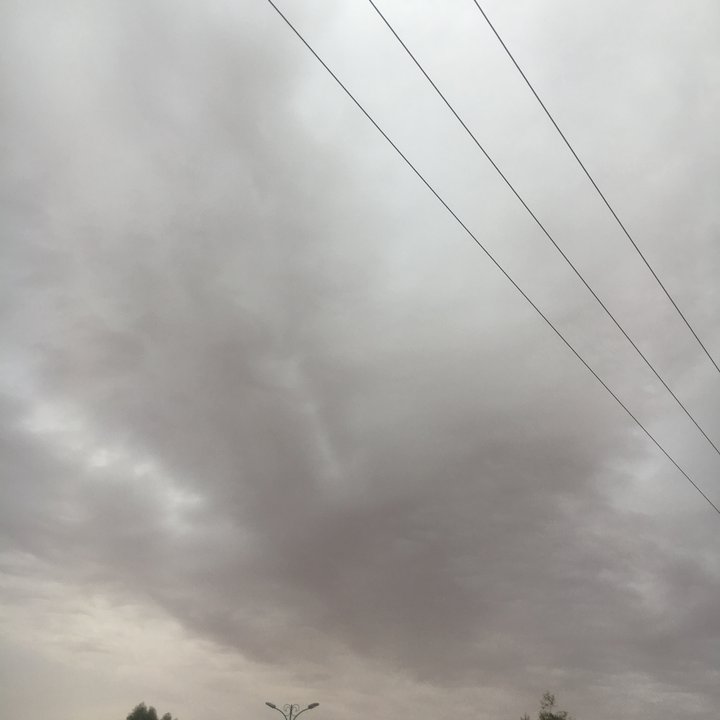 مشاركاتي في أنت الراصد