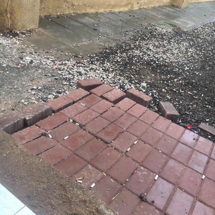 مشاركاتي في أنت الراصد