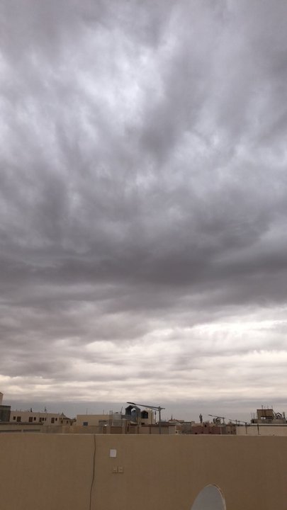 مشاركاتي في أنت الراصد