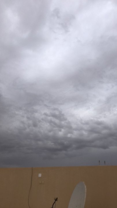 مشاركاتي في أنت الراصد