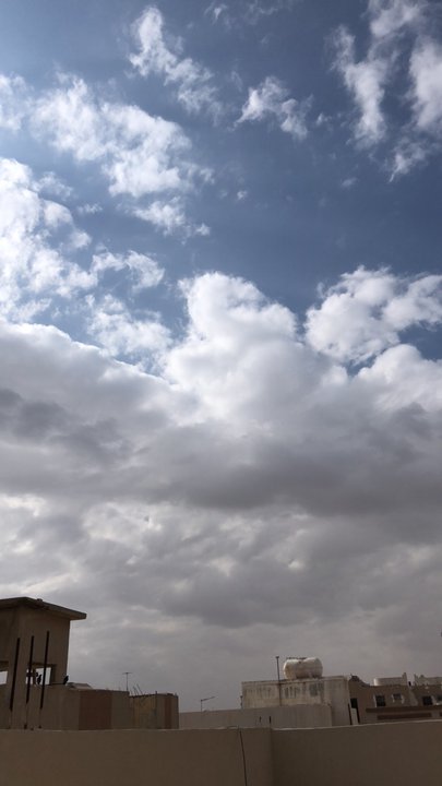 مشاركاتي في أنت الراصد