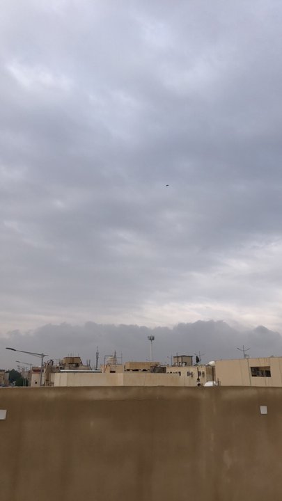 مشاركاتي في أنت الراصد