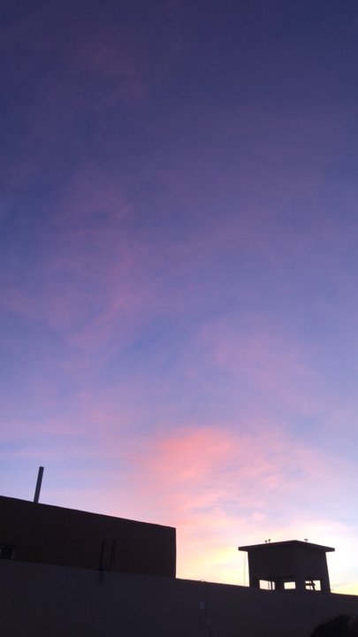 مشاركاتي في أنت الراصد