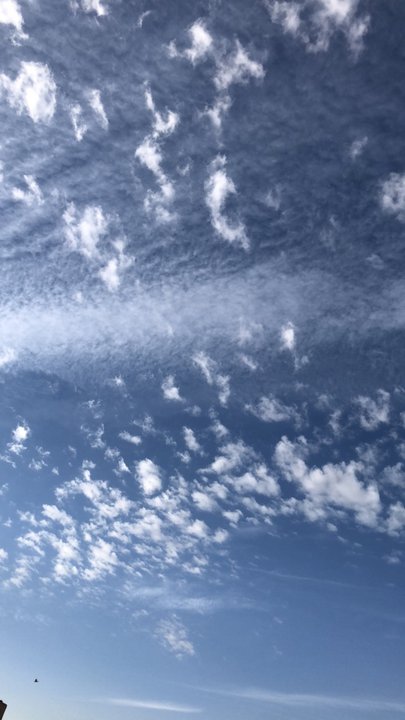 مشاركاتي في أنت الراصد