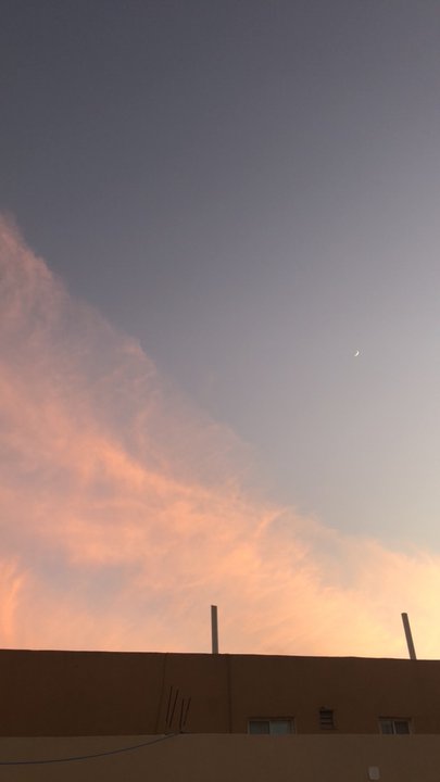 مشاركاتي في أنت الراصد