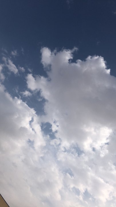 مشاركاتي في أنت الراصد