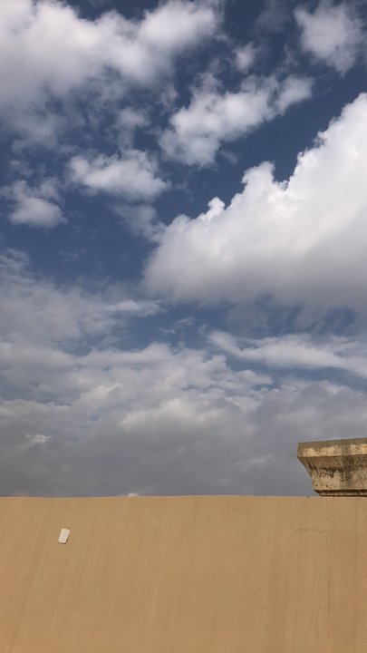 مشاركاتي في أنت الراصد