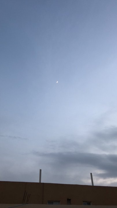 مشاركاتي في أنت الراصد