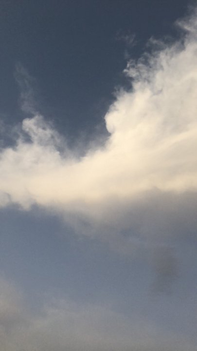 مشاركاتي في أنت الراصد