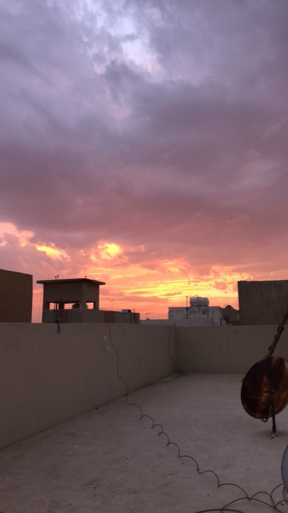 مشاركاتي في أنت الراصد