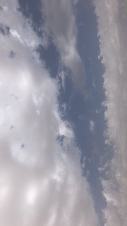 مشاركاتي في أنت الراصد