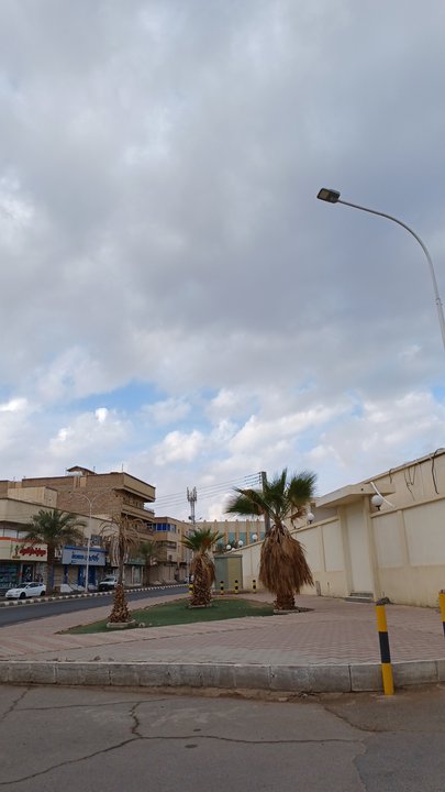 مشاركاتي في أنت الراصد