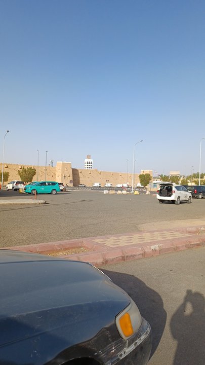 مشاركاتي في أنت الراصد