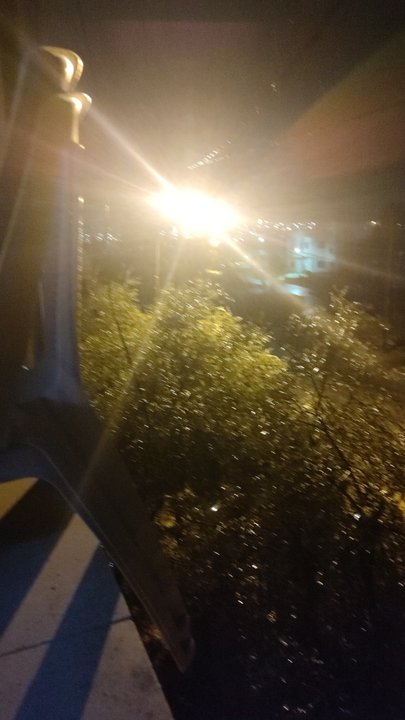 مشاركاتي في أنت الراصد