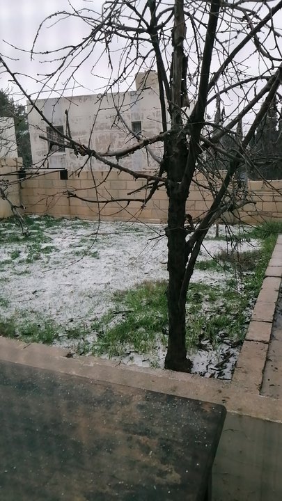 مشاركاتي في أنت الراصد