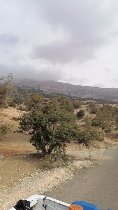 مشاركاتي في أنت الراصد