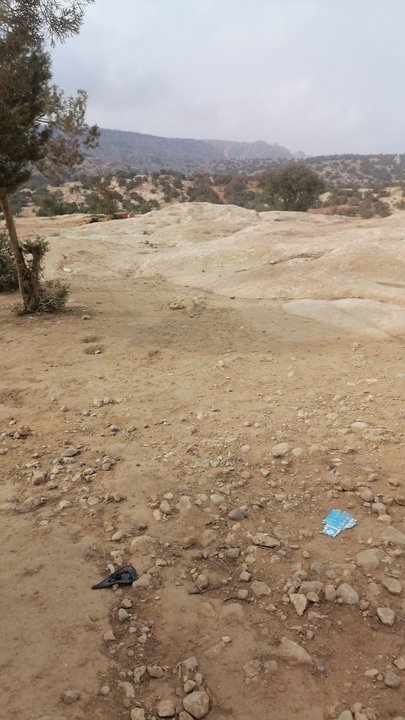 مشاركاتي في أنت الراصد