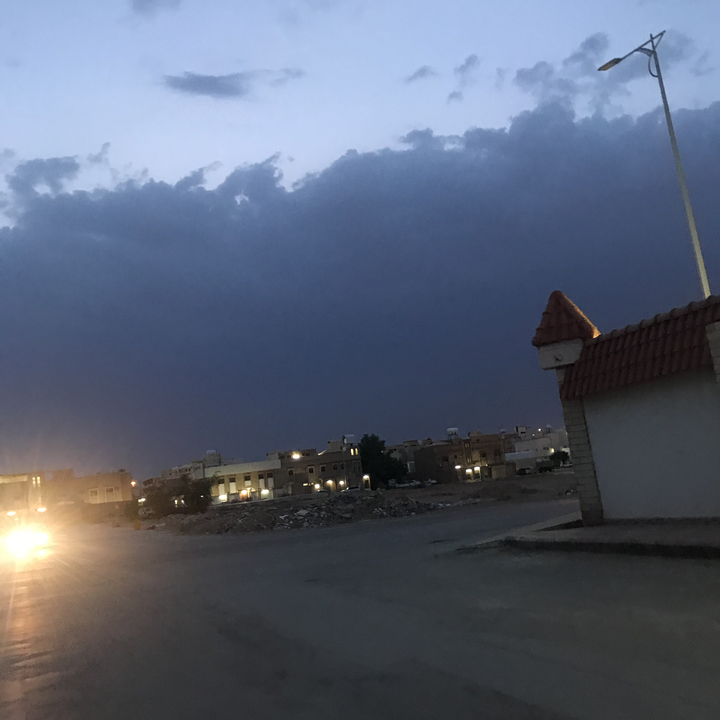 مشاركاتي في أنت الراصد