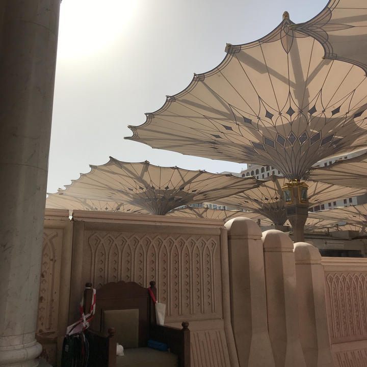 مشاركاتي في أنت الراصد