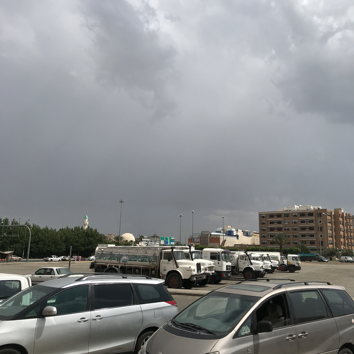 مشاركاتي في أنت الراصد