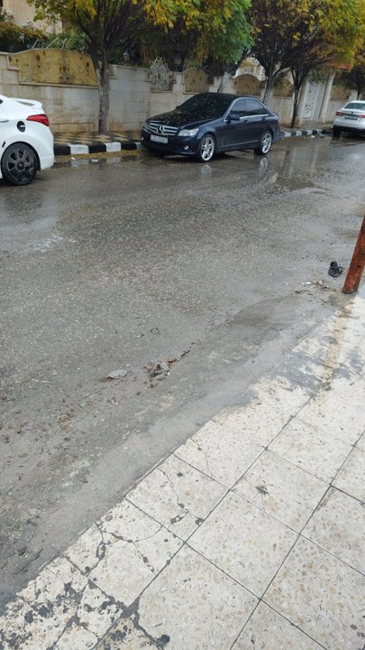 مشاركاتي في أنت الراصد