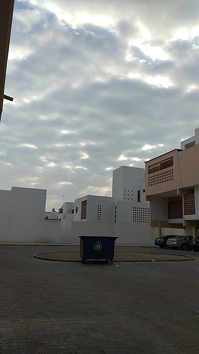 مشاركاتي في أنت الراصد