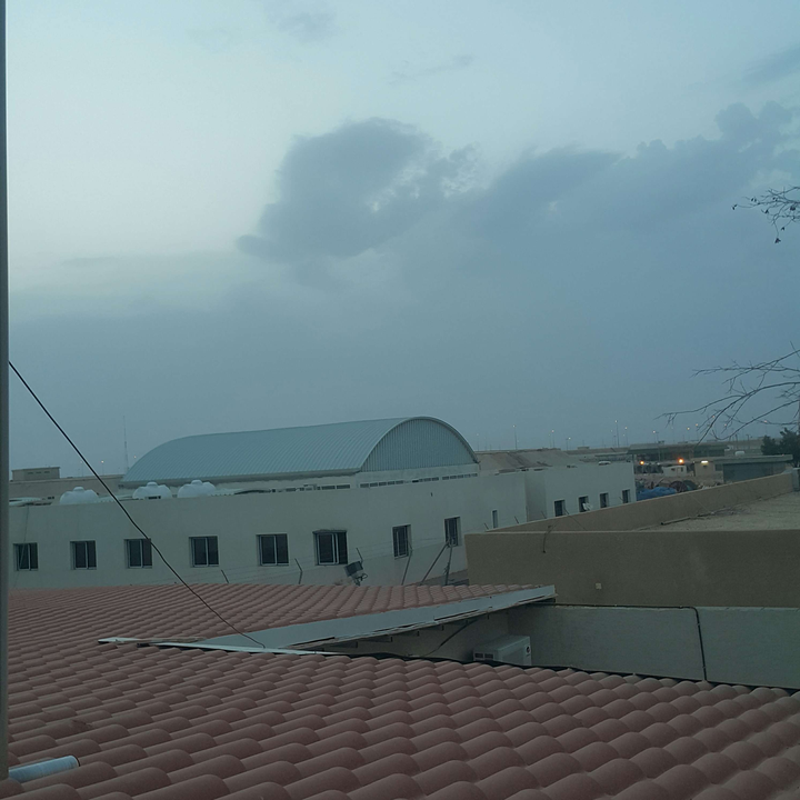 مشاركاتي في أنت الراصد