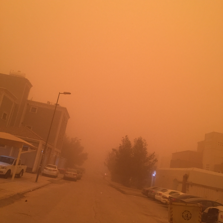 مشاركاتي في أنت الراصد