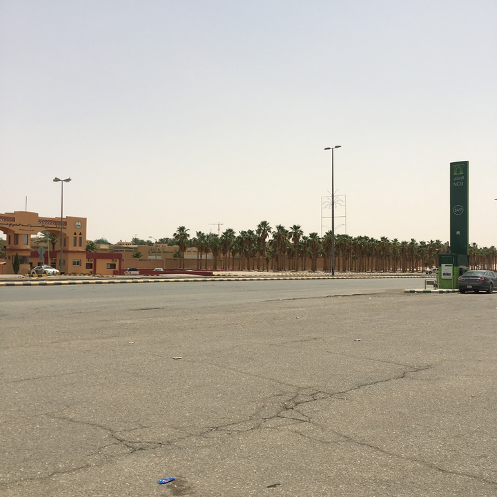 مشاركاتي في أنت الراصد