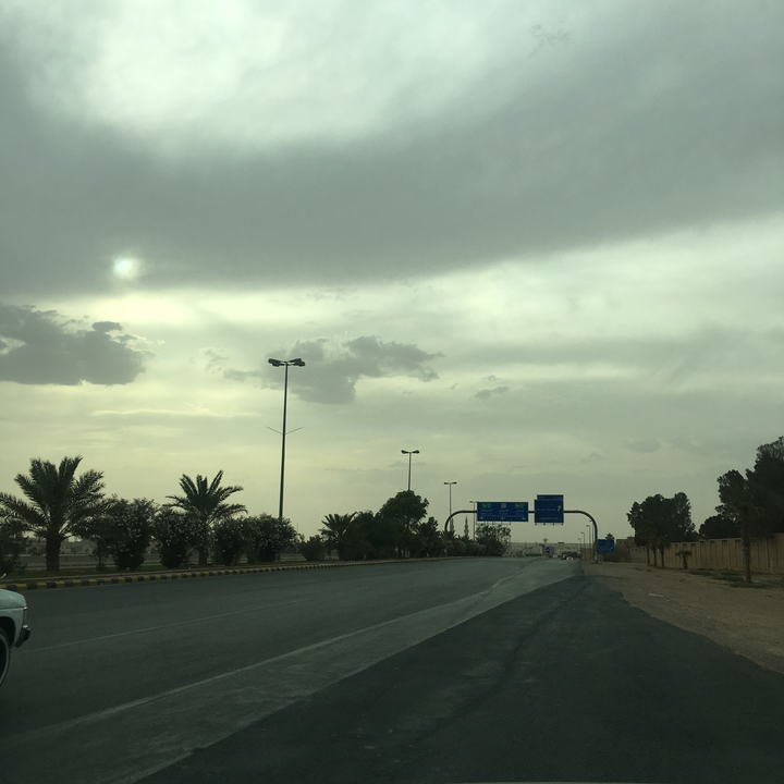 مشاركاتي في أنت الراصد