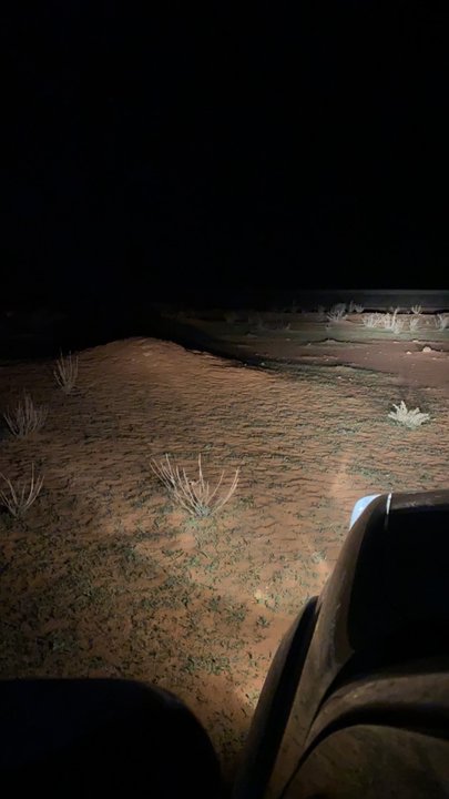 مشاركاتي في أنت الراصد