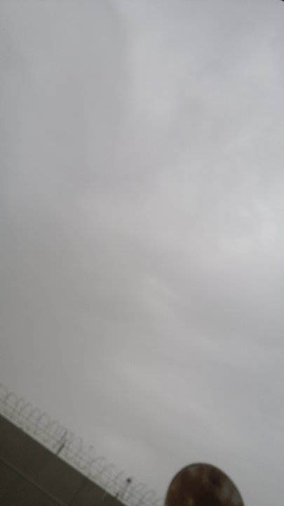 مشاركاتي في أنت الراصد