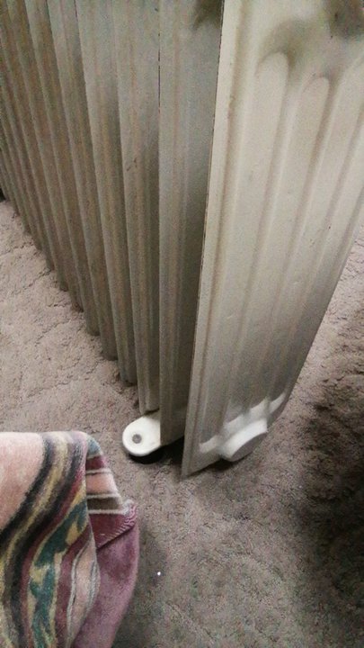 مشاركاتي في أنت الراصد