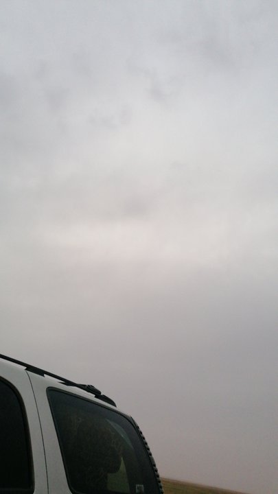 مشاركاتي في أنت الراصد