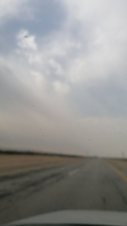 مشاركاتي في أنت الراصد