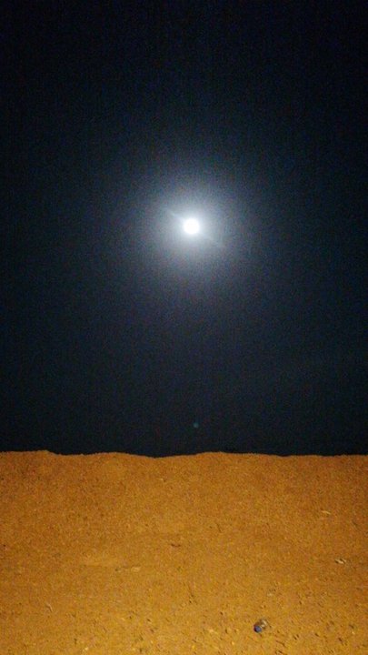 مشاركاتي في أنت الراصد