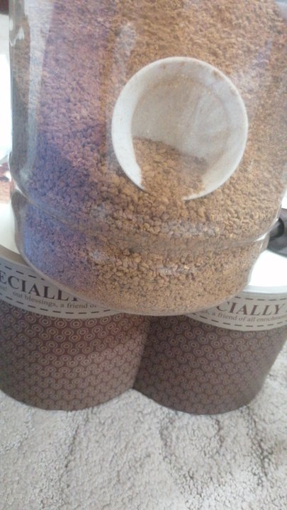 مشاركاتي في أنت الراصد