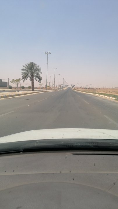 مشاركاتي في أنت الراصد